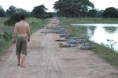 /album/fotos-do-pantanal/a1048978-445293905565769-1959833829-o-jacares-in-road-jpg1/